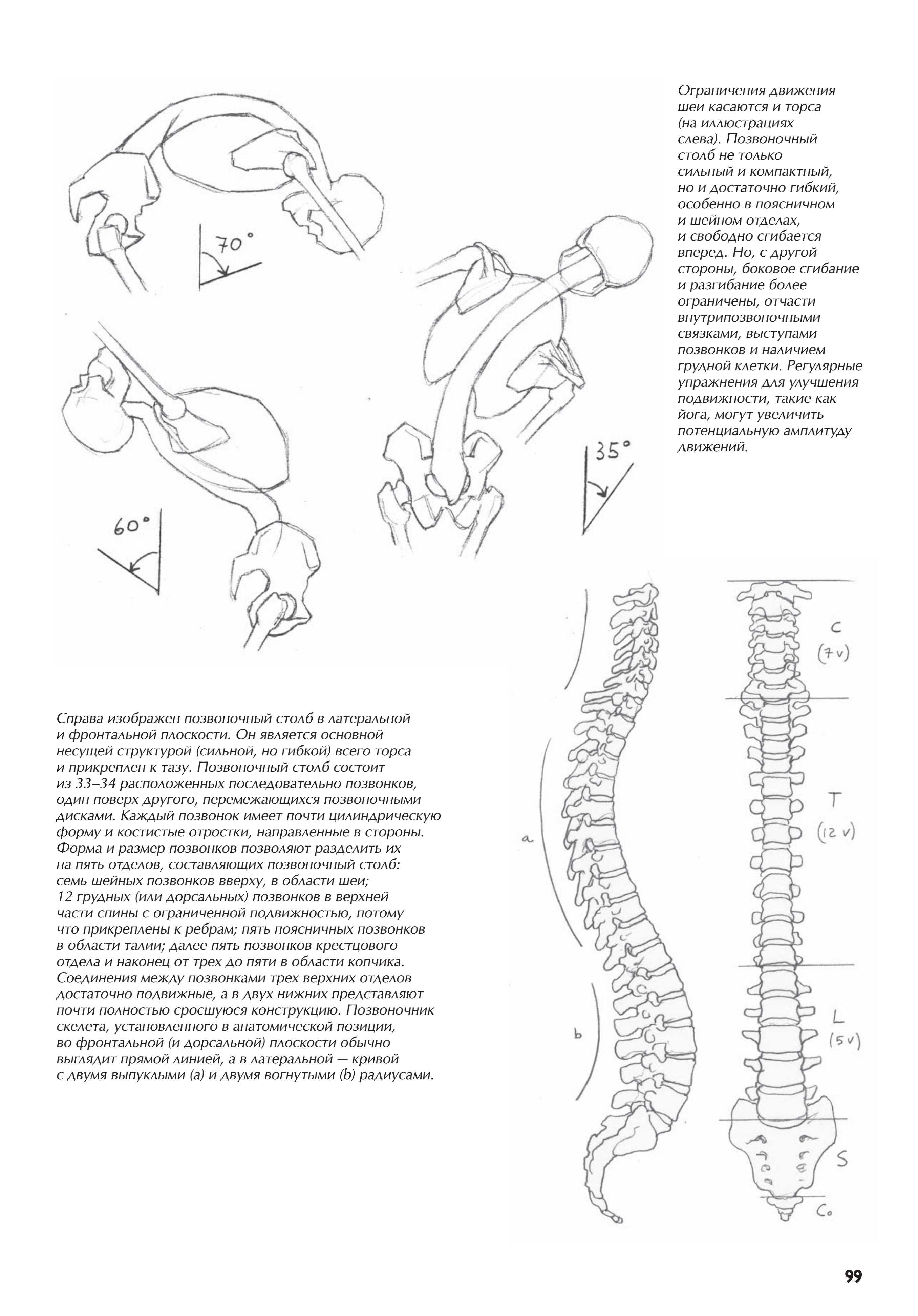 آموزش نقاشی طراحی سیاه قلم شهرری
